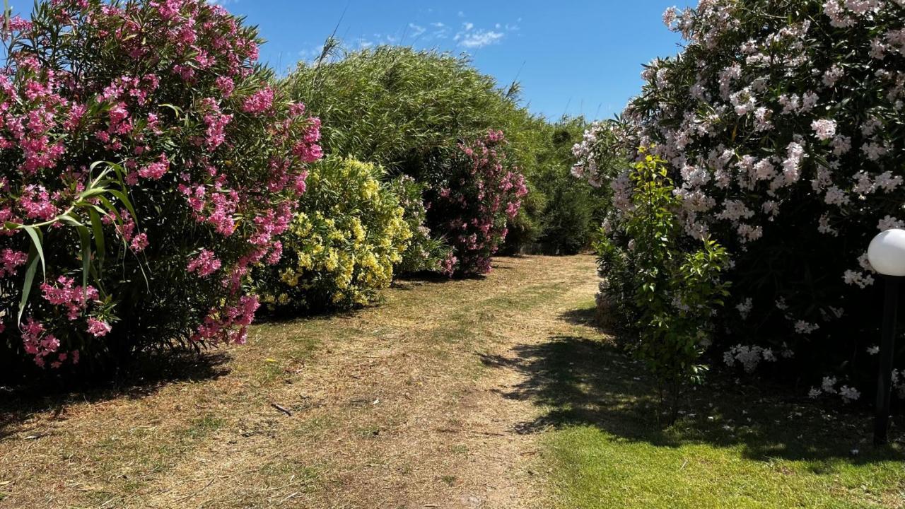 Hotel Frassetto Santa Teresa Gallura Eksteriør billede