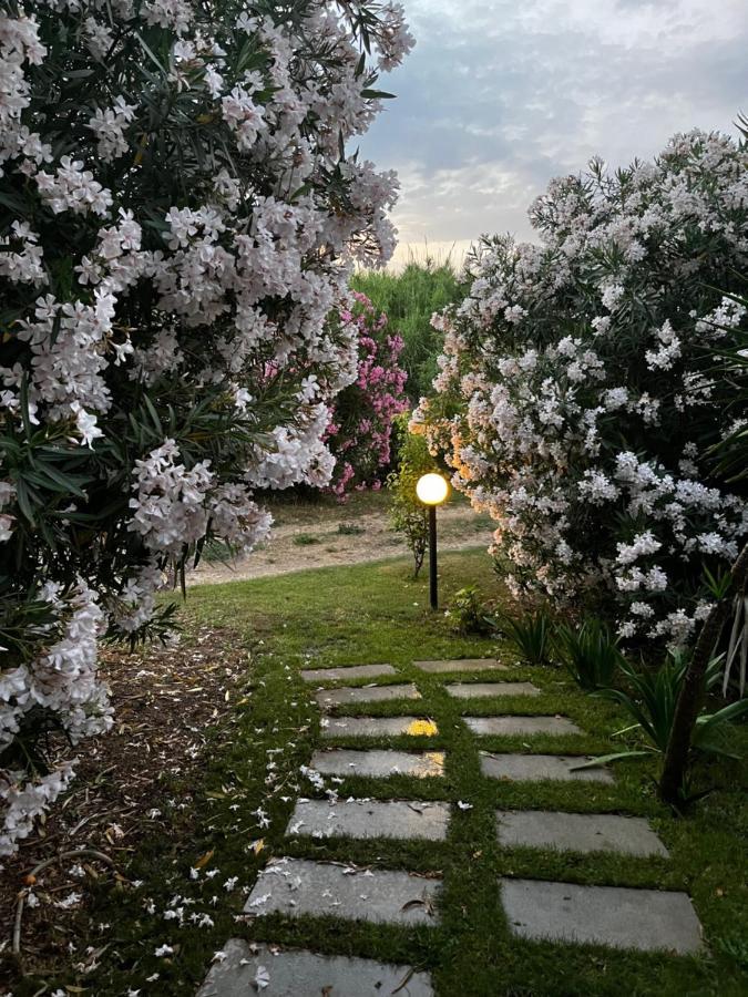 Hotel Frassetto Santa Teresa Gallura Eksteriør billede